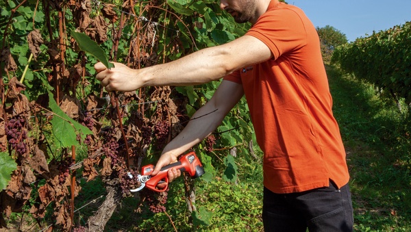 Altuna Tijera Poda a Bateria sin Cable Ab32 Titanio